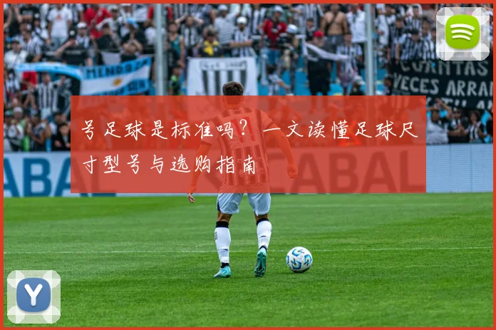 号足球是标准吗?一文读懂足球尺寸型号与选购指南